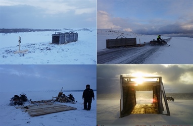 Red fox traps placed in Varanger  